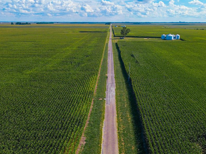 Income Producing Farmland : Bement : Piatt County : Illinois