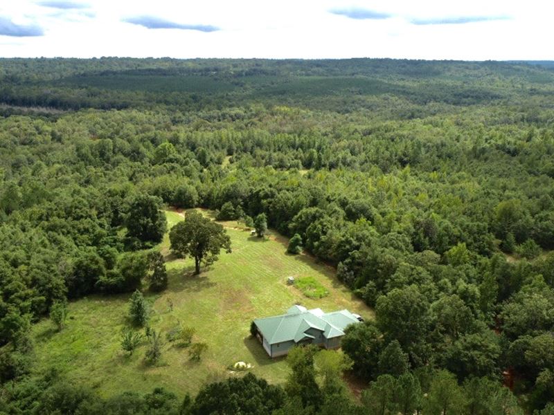 Hidden Creek : Lumpkin : Stewart County : Georgia