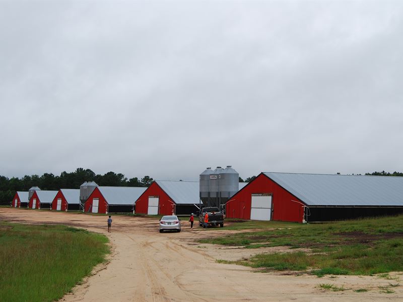 10 Broiler Houses Built in 2007, Farm for Sale in 292870