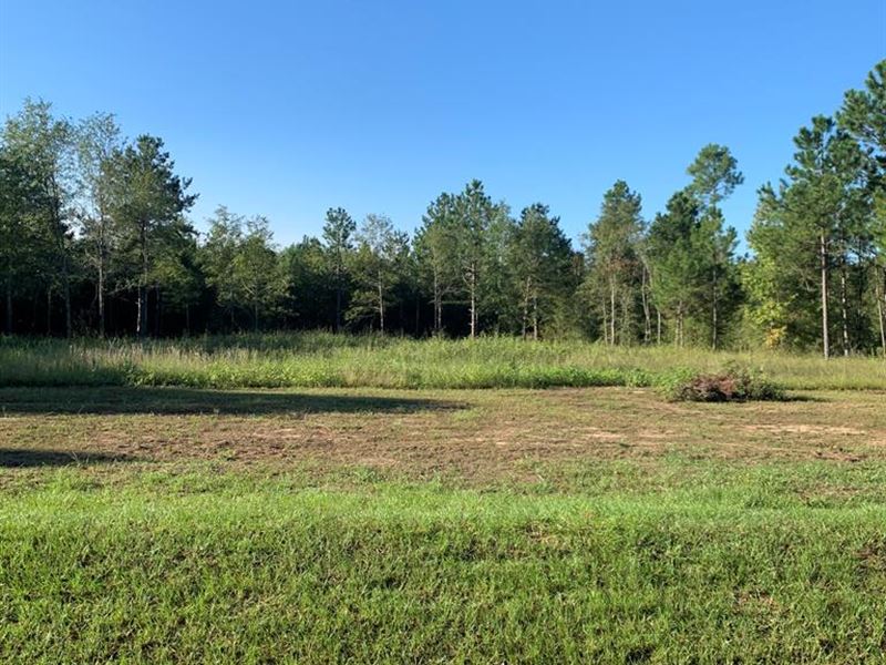 10.04 Acres Burke County, Georgia : Waynesboro : Burke County : Georgia