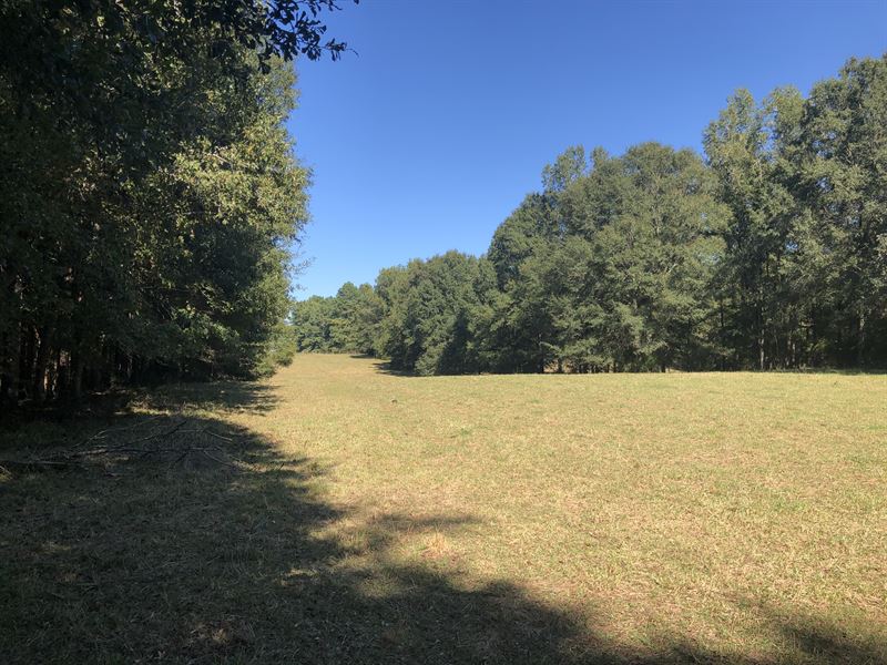 Cupboard Creek Tract 2 : Belton : Anderson County : South Carolina