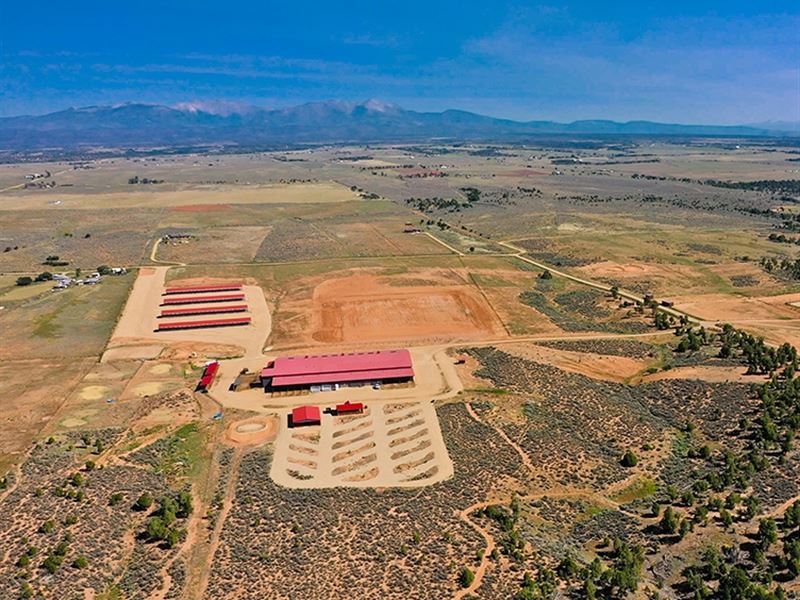 Spring Hollow Equestrian Park, Farm for Sale in Colorado, 293228