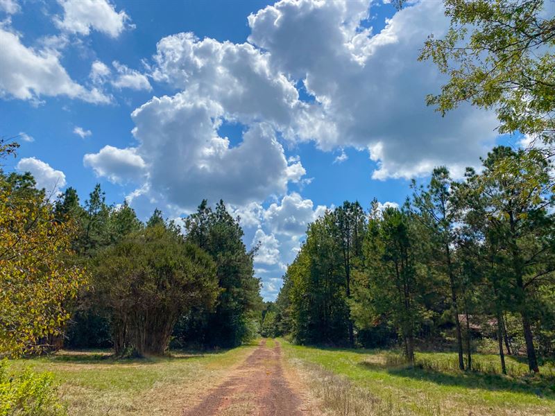 288 Acres, Alto Pine : Alto : Cherokee County : Texas