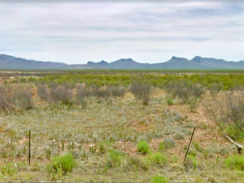 Potential 5 Acre in Cochise Land : Douglas : Cochise County : Arizona