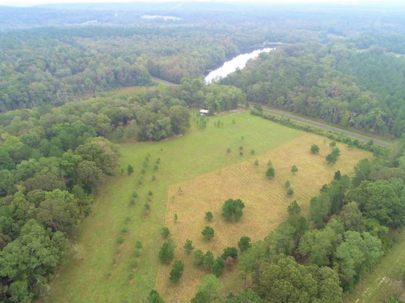 Great Homesite or Camping Getaway : Irwinton : Wilkinson County : Georgia