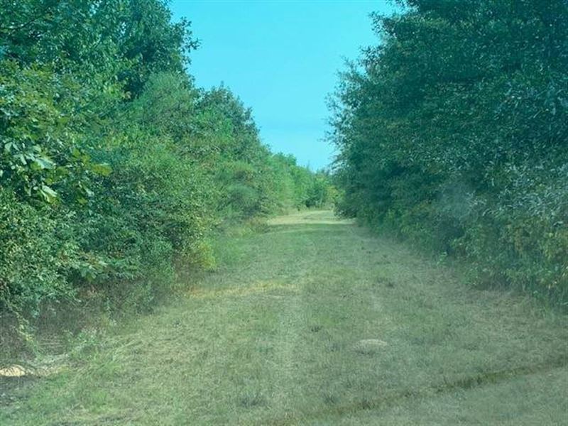 Hunting Land in Winnsboro, LA : Winnsboro : Franklin Parish : Louisiana