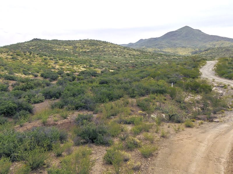 Selling Mtns in May, Live & Play : Douglas : Cochise County : Arizona
