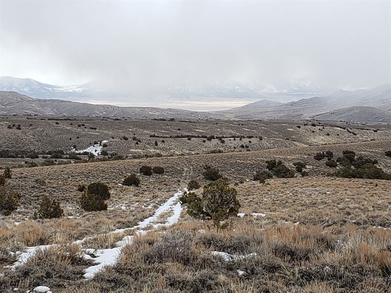 Hear That, It's Nature Calling You : Montello : Elko County : Nevada