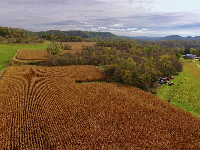 25.03 Acres in Pepin County, Farm for Sale in Wisconsin, 294078 FARMFLIP