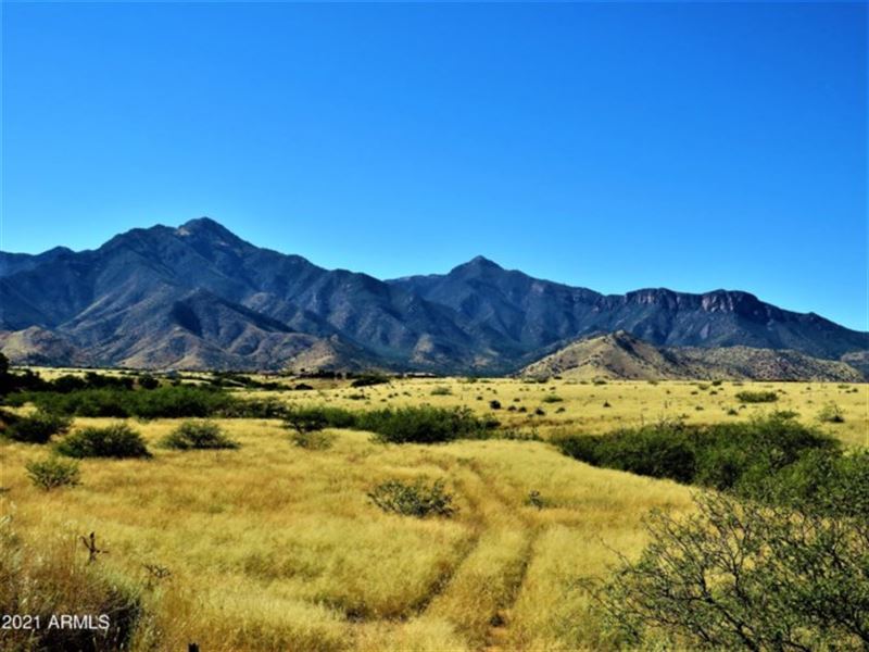 Perfect 8 Ac for Your Dream Home : Hereford : Cochise County : Arizona