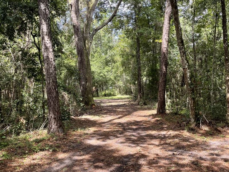 Private 5 Acres : Brooksville : Hernando County : Florida