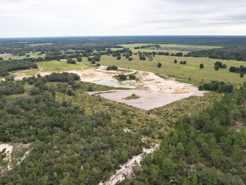 Gilchrist County Mining Acreage : Trenton : Gilchrist County : Florida