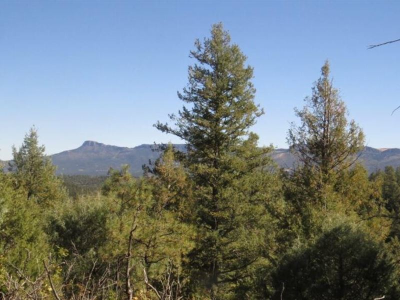 H11 Santa Fe Trail Ranch : Trinidad : Las Animas County : Colorado