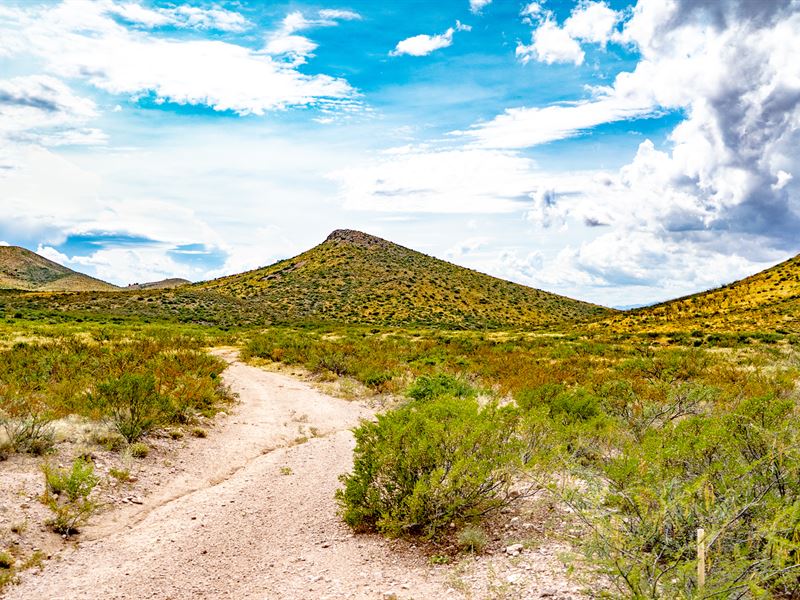 Awesome 72 Acres of Wondrous Ranges : Douglas : Cochise County : Arizona