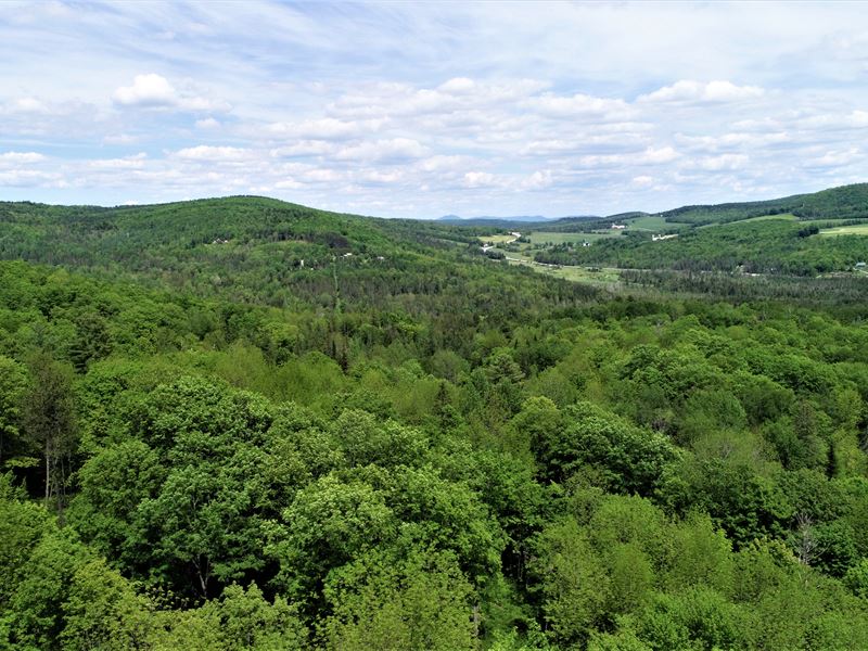 Molly Road Forest Parcel : Cabot : Washington County : Vermont