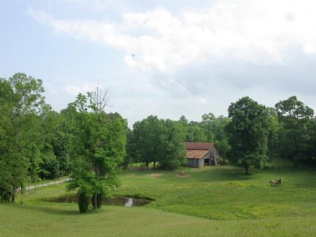 A Taste Of Tennessee : Pell City : Saint Clair County : Alabama