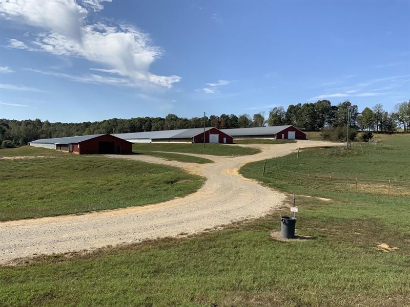 55,Poultry Houses, Sulphur Rock : Sulphur Rock : Sharp County : Arkansas