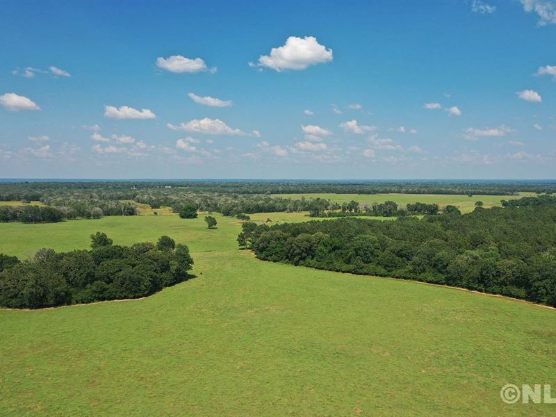 20 Acres with FiberOptic Farm for Sale by Owner in Texas