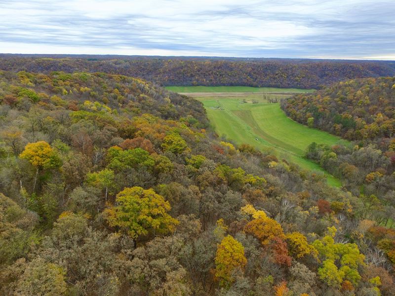 92.63 Acres Buffalo County : Alma : Buffalo County : Wisconsin