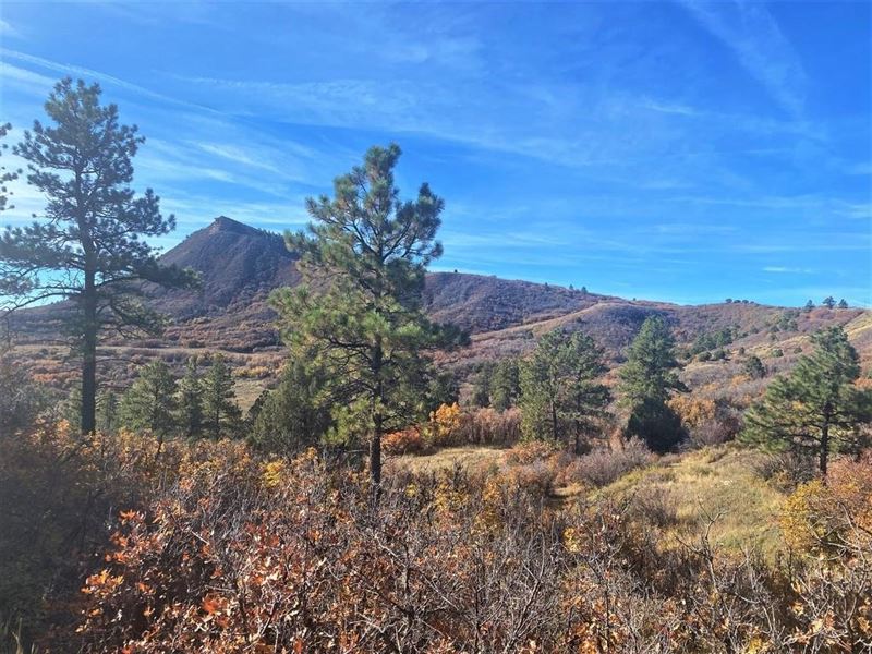 Valley View Ranch Acreage : Mancos : La Plata County : Colorado
