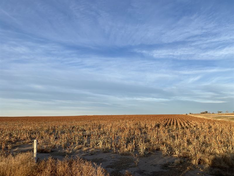 Dunn Family Farmland Auction : Vona : Kit Carson County : Colorado