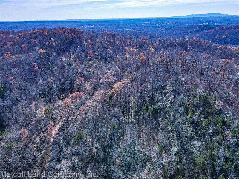 43 Acres Of Pristine Land : Travelers Rest : Greenville County : South Carolina