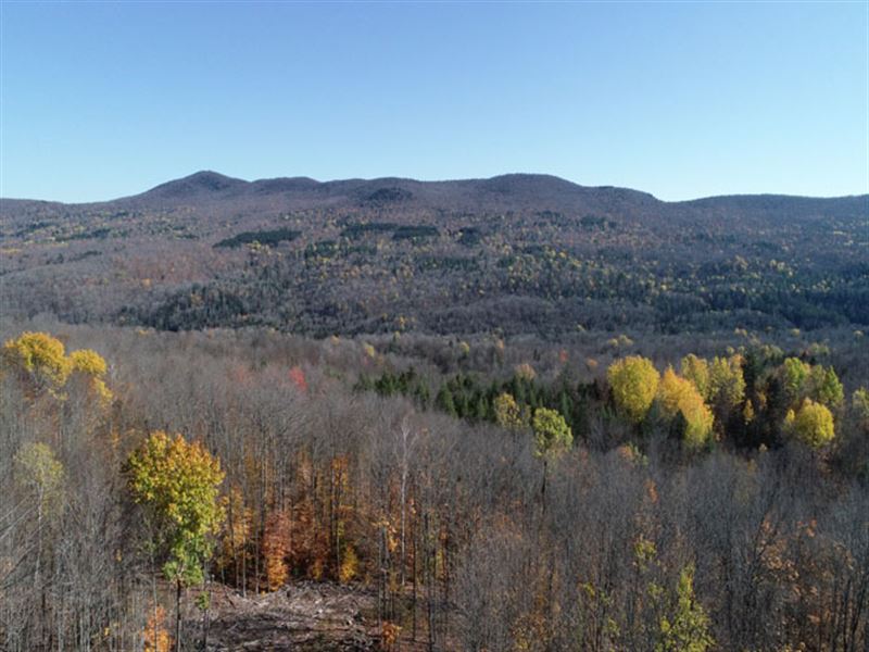 Eagle Ledge Forest : Elmore : Lamoille County : Vermont