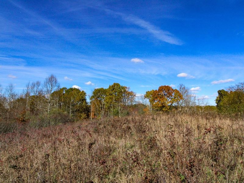 Sunday Creek Rd, 50 Acres, Farm for Sale in Ohio, 296104