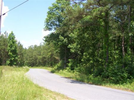 246 Acres Iron Hill Rd : Taylorsville : Bartow County : Georgia