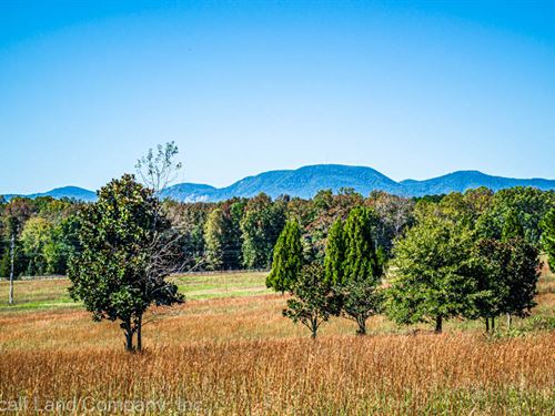 Tree Farm Farms For Sale : Farmflip