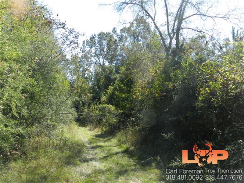 140 Acres in Evangeline Parish, Farm for Sale in Louisiana, 296724