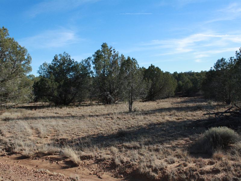 Vacant Land in Hackberry, AZ, Farm for Sale by Owner in Arizona, 297020 FARMFLIP