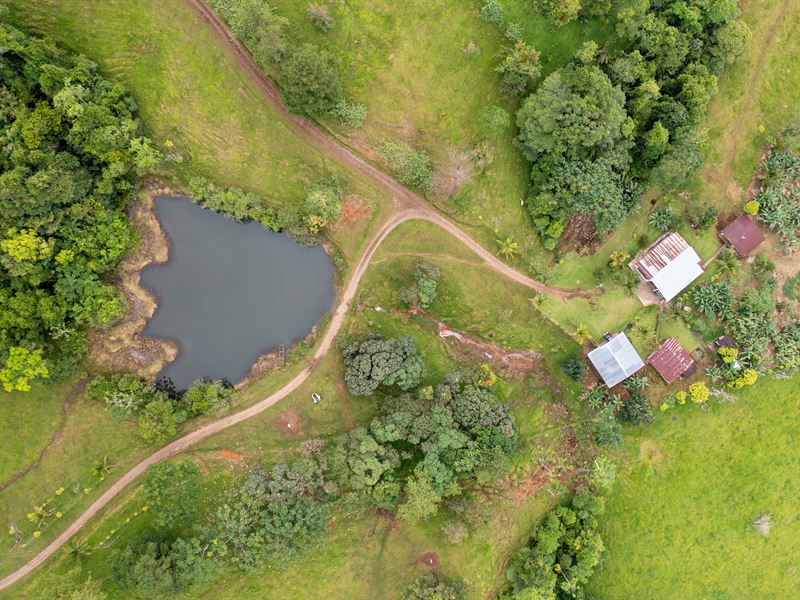 Costa Rica Riverfront Ranch : Nuevo Arenal : Costa Rica