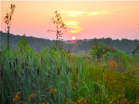 Antler Ridge Missouri Ozarks Terms : Bunker : Shannon County : Missouri