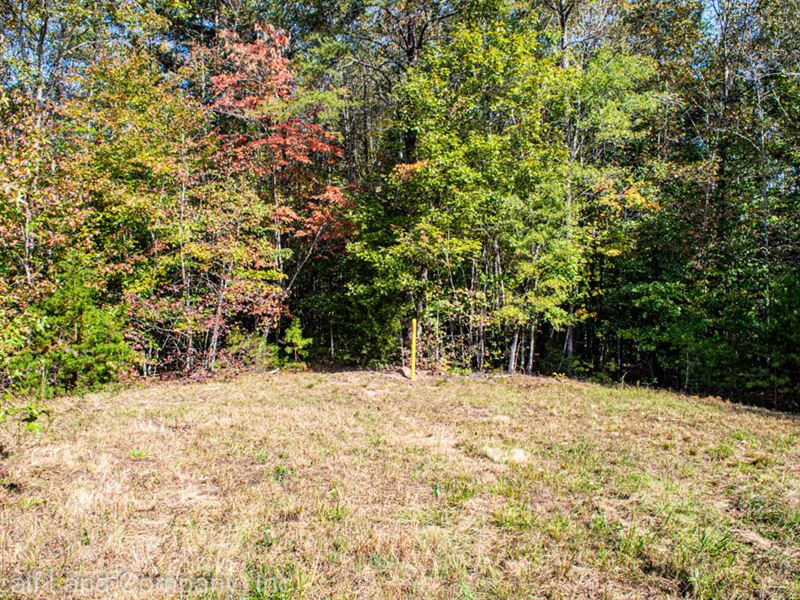 Hunting Land / Homesite On 15 Acres : Smyrna : Cherokee County : South Carolina