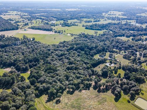 15 Acres of Lake Life in Livingston : Livingston : Polk County : Texas