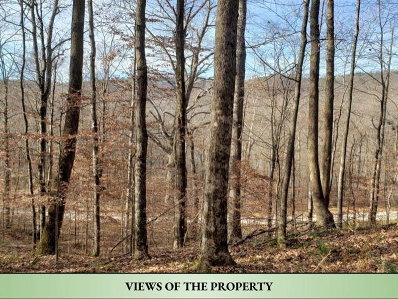 Hunting Land, Utilities Nearby : Jamestown : Fentress County : Tennessee