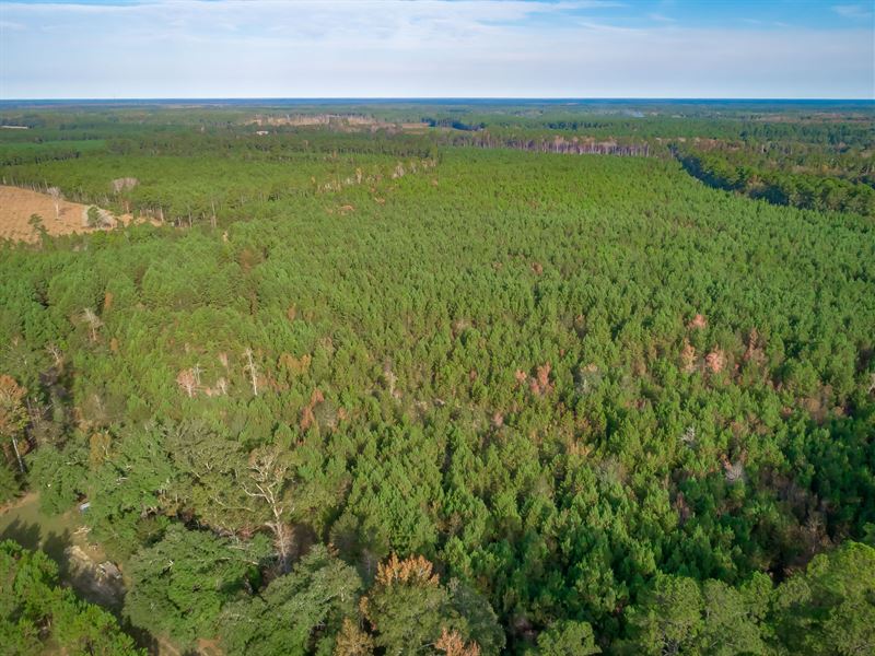Fire Hill Road Tract : Walterboro : Colleton County : South Carolina