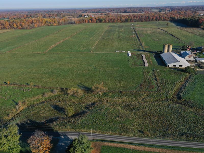 Organic Farm Auction in Ohio, Farm Auction in Ohio, 297471 FARMFLIP