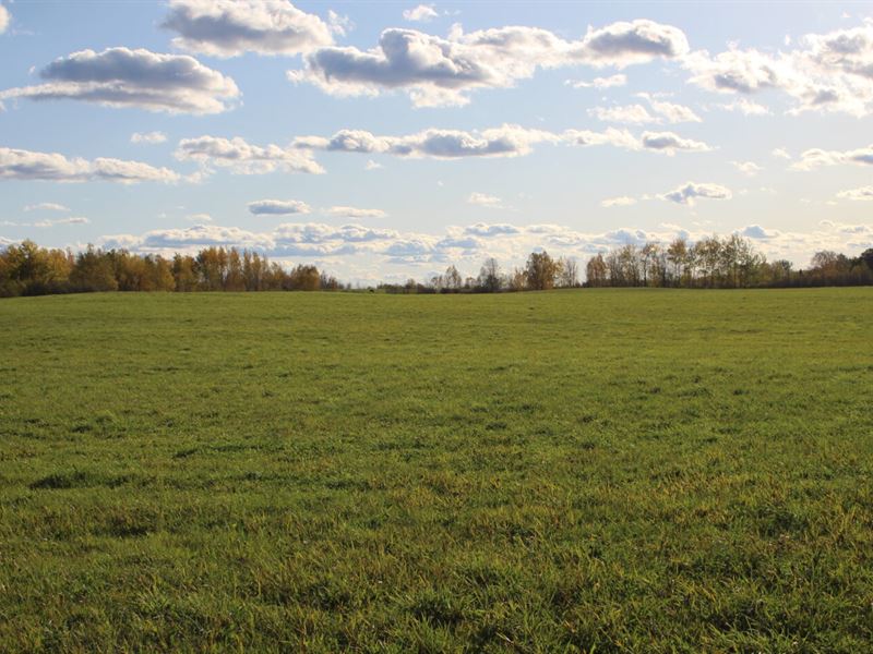 8 Acres of Rolling Farmland : Brookston : Saint Louis County : Minnesota