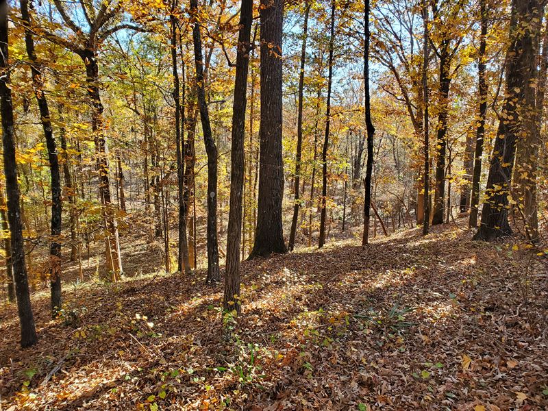 Rare Hunting Property, Farm for Sale in 297827 FARMFLIP