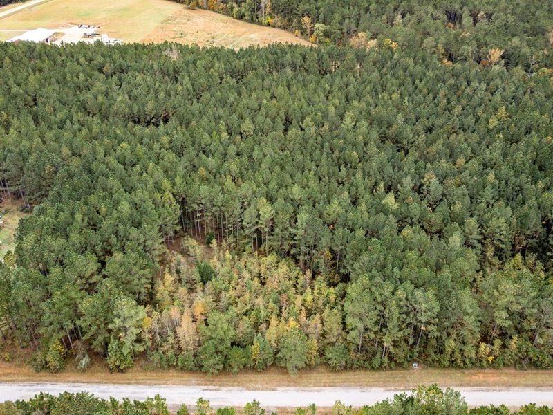 5 Acres Near Georgia's Lake Country : Eatonton : Putnam County : Georgia