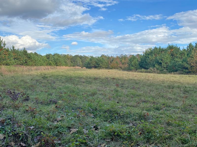 Redland Rock Springs Road Tract : Tallassee : Elmore County : Alabama
