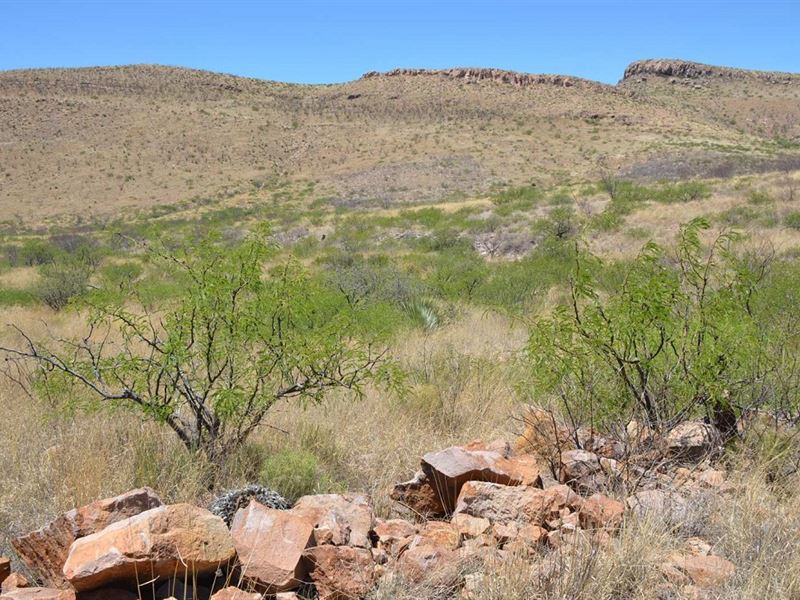 Wild West, Amazing Land, $738/Month : Douglas : Cochise County : Arizona