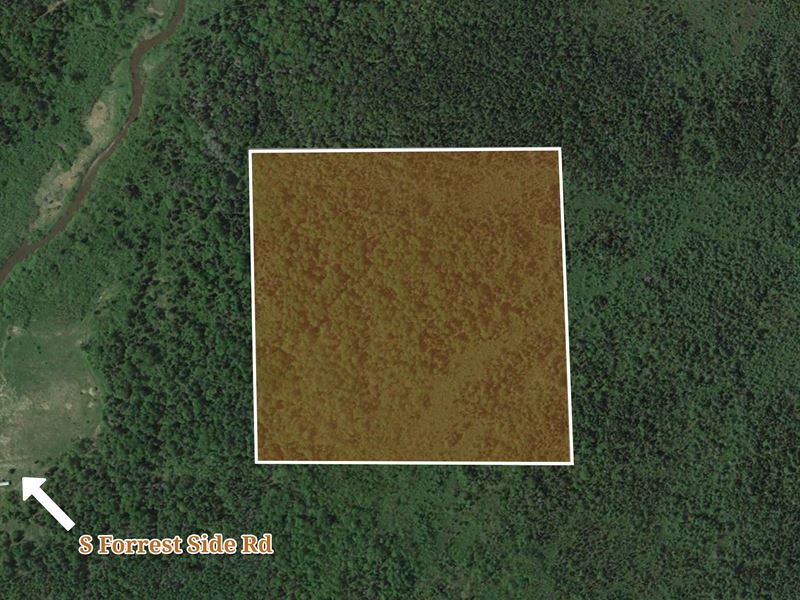 40 Acre Property Near Brimley, MI, Farm for Sale by Owner in Michigan