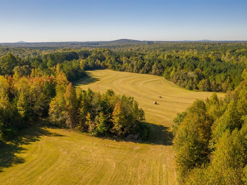 J&J Acres 500, Farm for Sale in North Carolina, 298254 FARMFLIP