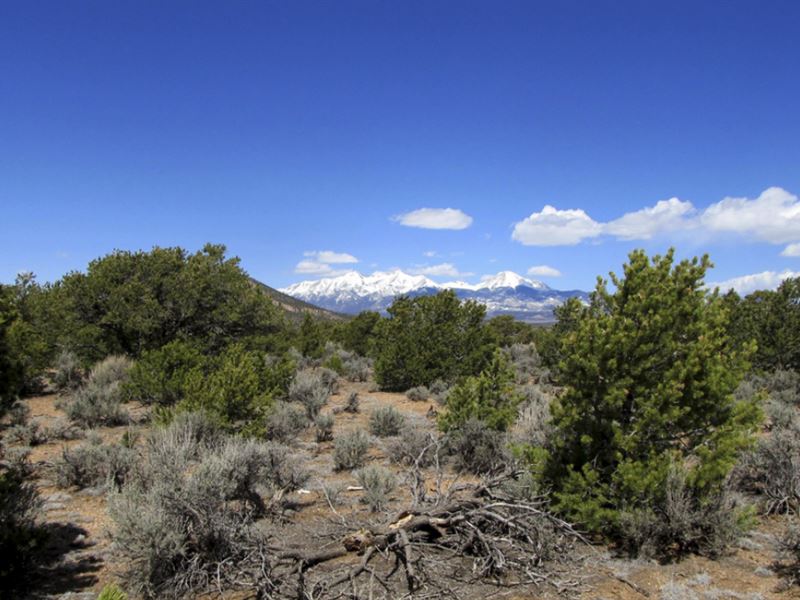 5 Acres, Prime, Hilly with Trees : Fort Garland : Costilla County : Colorado