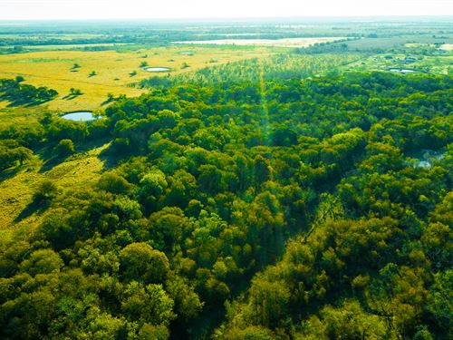 42.42 Acres Rv / Mobile Lot : Mart : Limestone County : Texas