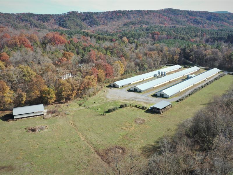 Sumac Creek Poultry Farm : Crandall : Murray County : Georgia