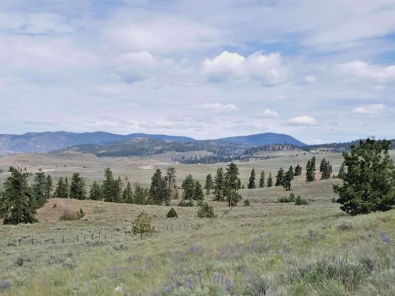 Get This Beautiful Land Tonasket Farm for Sale by Owner in Tonasket